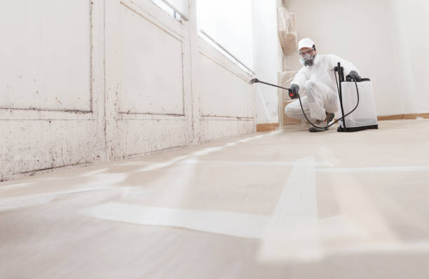 24/7 Emergency Black Mold Remediation experts in Franklin Park, FL